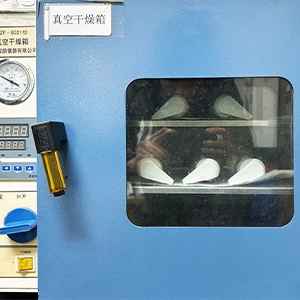 Vacuum Leakage Test Vacuum Leakage Test